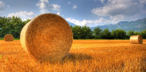 Bale_Roll