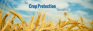 Portfoio-Corn-Front-Header