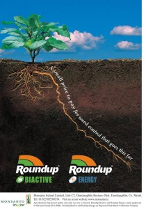RB-&-RE-Root-ad-A4-600